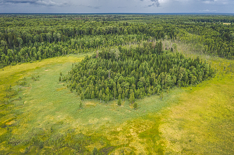 Центрально-Лесной государственный природный биосферный заповедник