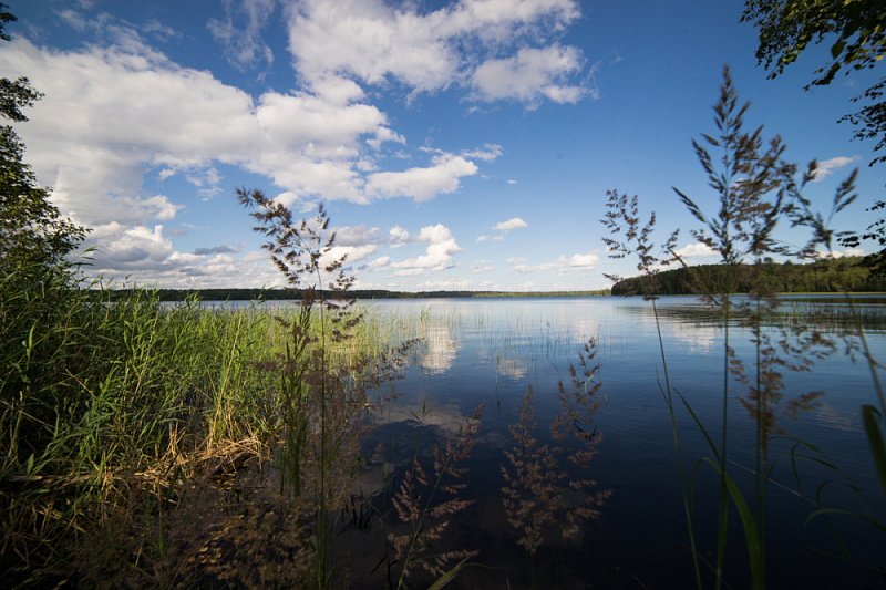 Lake Brosno